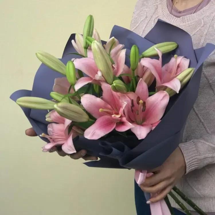Александрия